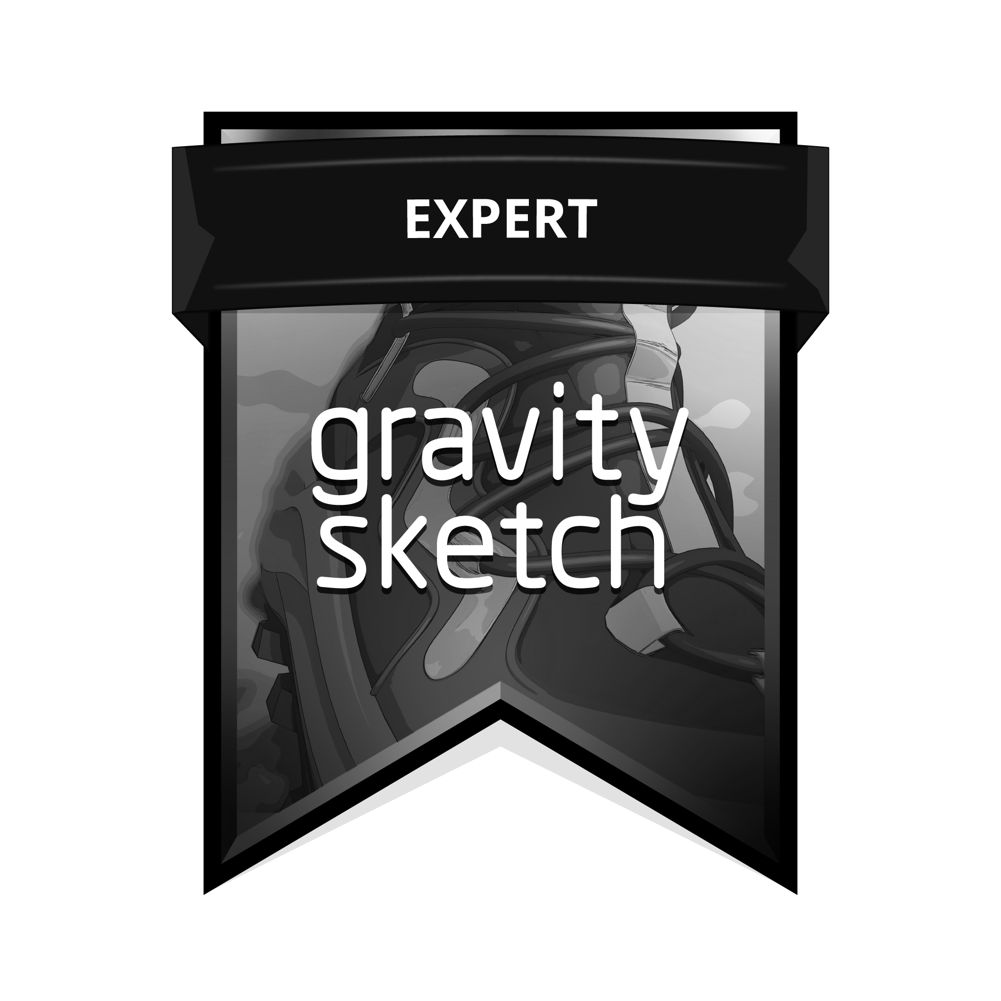 Expert Certification
